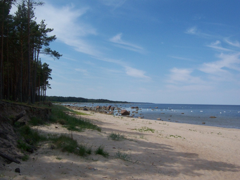 Kodak DX6340 ZOOM DIGITAL CAMERA sample photo. Beach estonia vosu in the forest photography