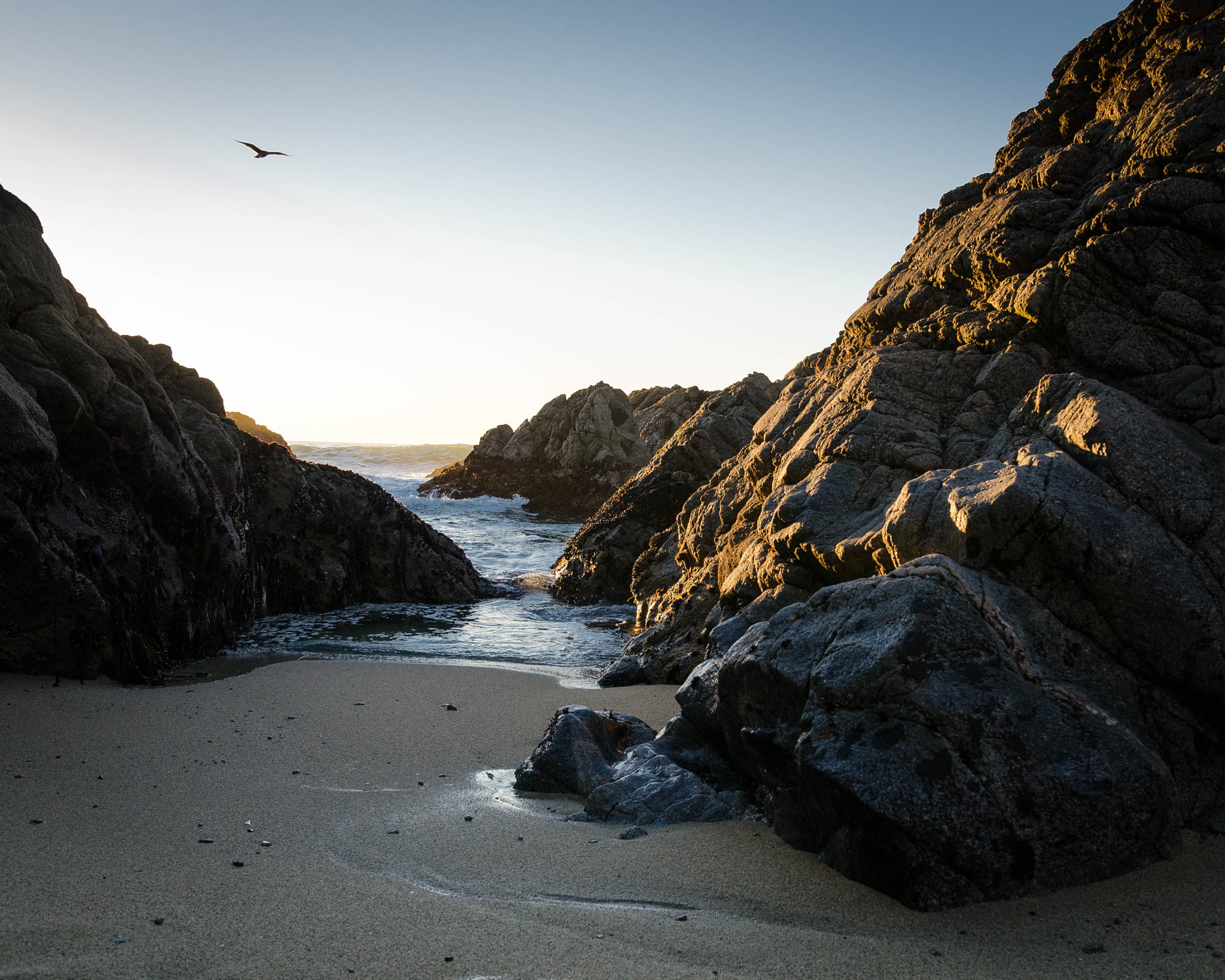 Nikon D5100 + Sigma 18-35mm F1.8 DC HSM Art sample photo. Beneath bodega head photography