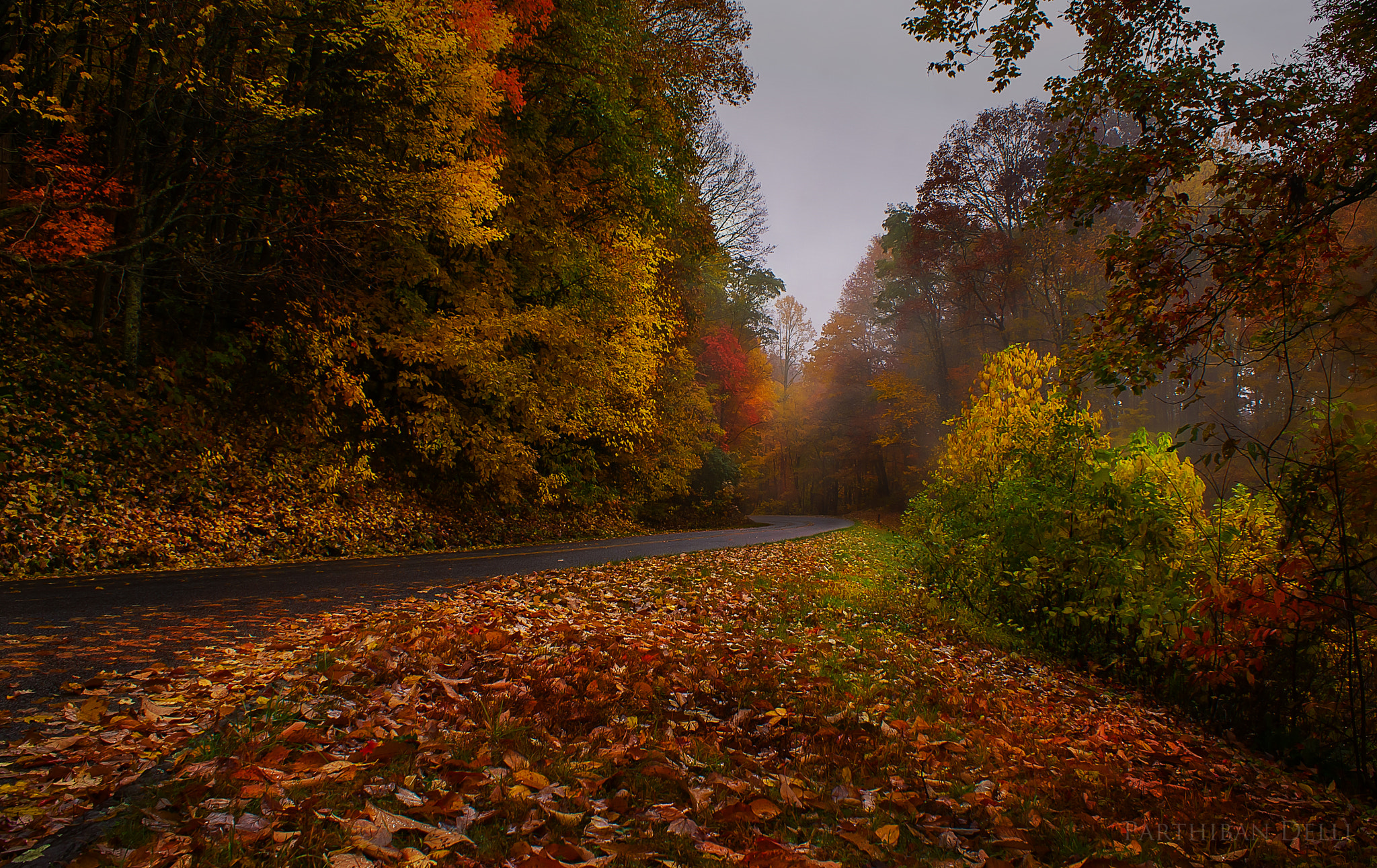 Sony DT 18-70mm F3.5-5.6 sample photo. Blue ridge parkway photography