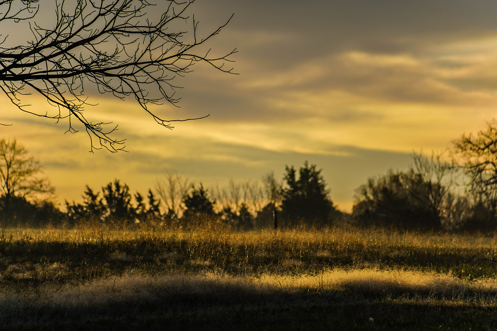 Sony a7S II + Sony DT 50mm F1.8 SAM sample photo. Good morning sunshine! photography