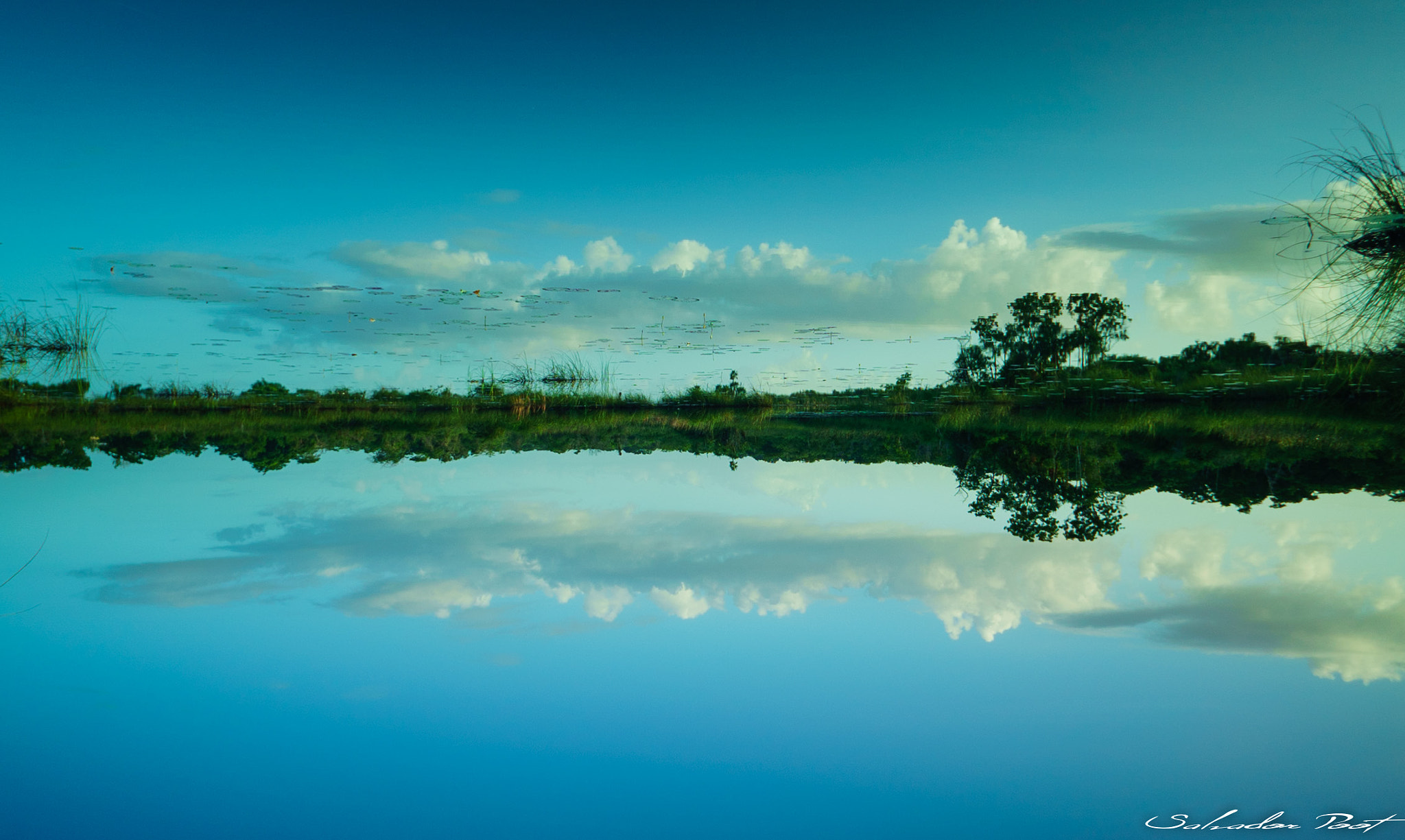 Sony a7S + Sony E 16mm F2.8 sample photo. Chetumal photography