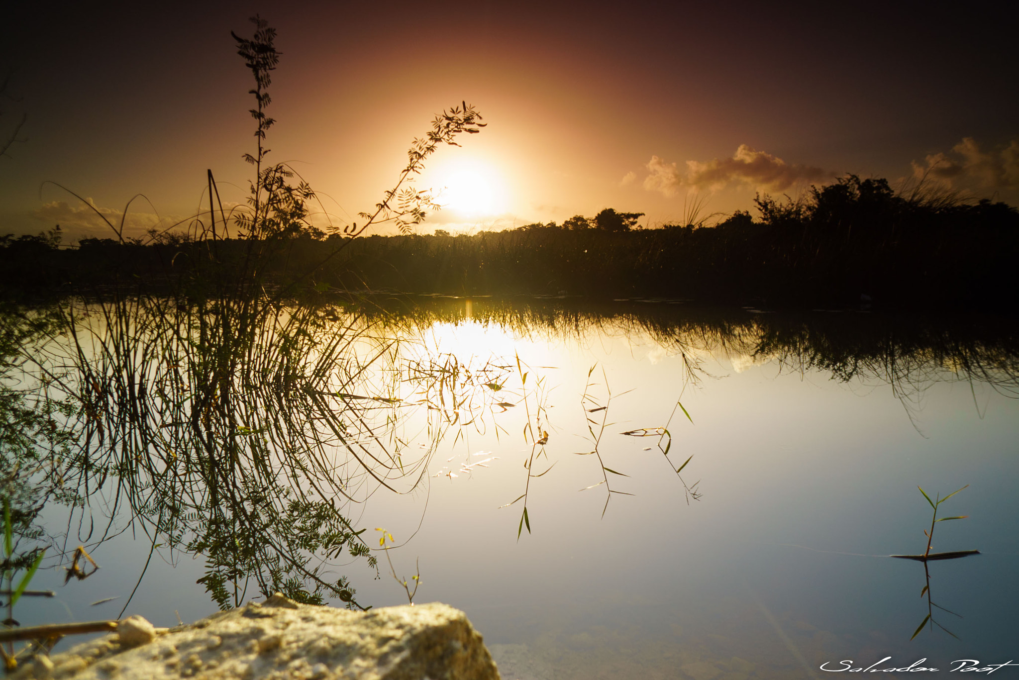 Sony a7S + Sony E 16mm F2.8 sample photo. Wetland chetumal photography