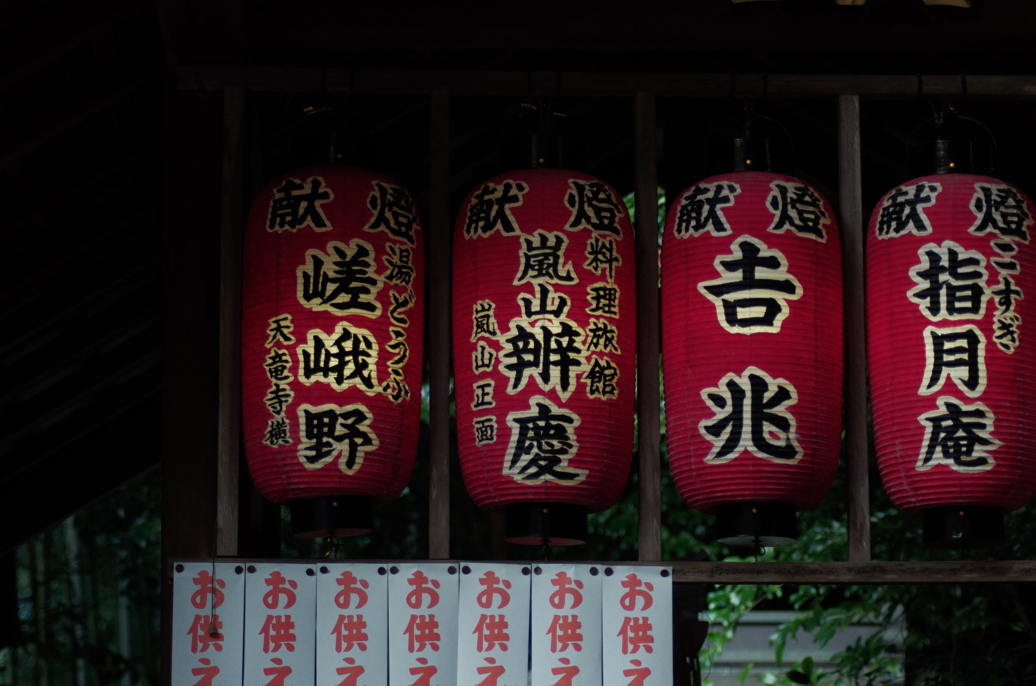 Tamron AF 70-300mm F4-5.6 Di LD Macro sample photo. Saga arashi photography