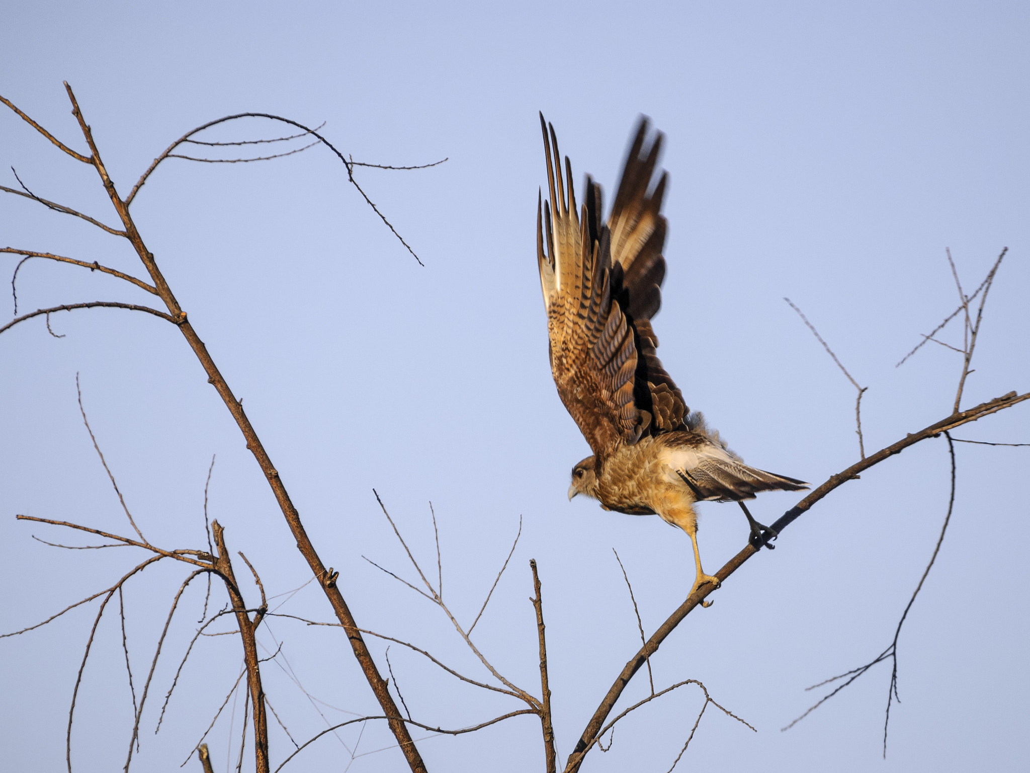 Nikon D40X sample photo. ... del hombre photography