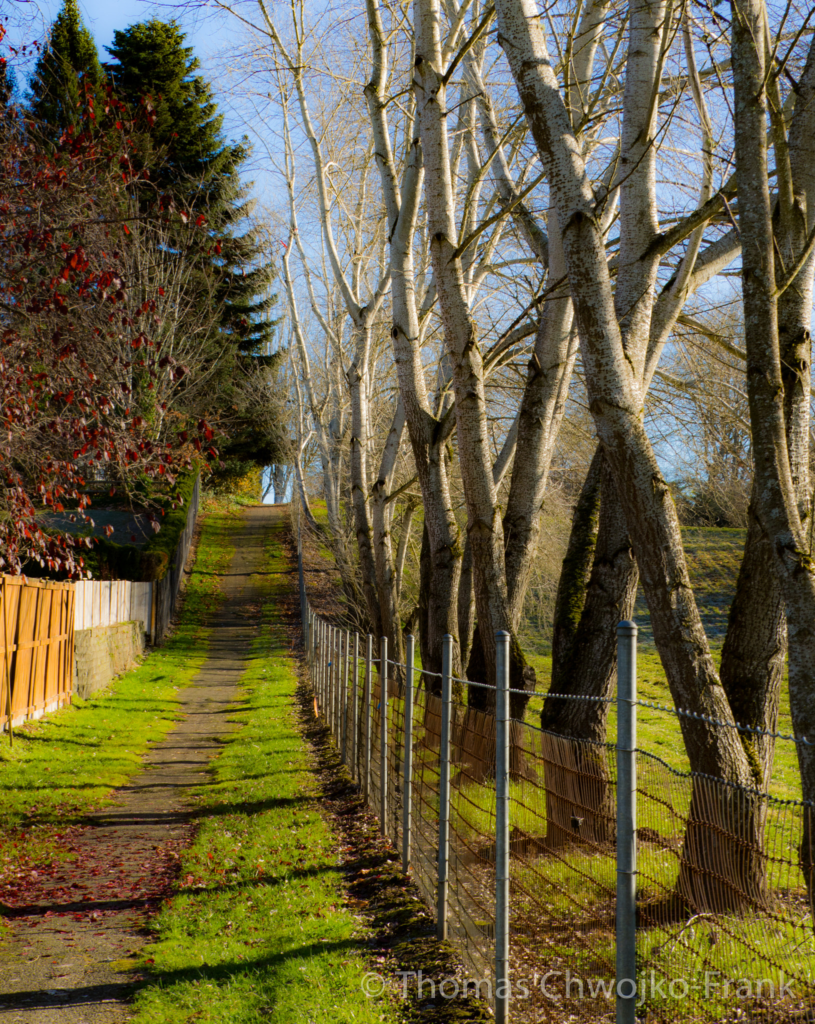 Panasonic Lumix G X Vario 35-100mm F2.8 OIS sample photo. Walking trail photography