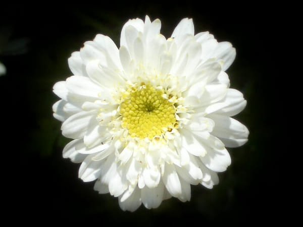 Pentax OPTIO S4I sample photos - ExploreCams