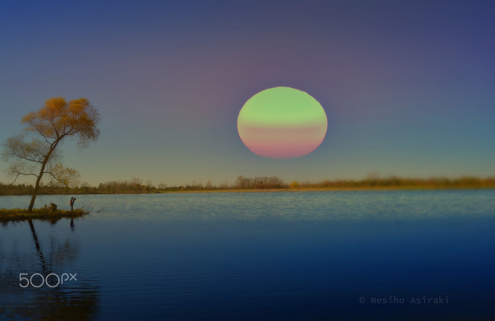 Nikon D7000 + AF Zoom-Nikkor 70-300mm f/4-5.6D ED sample photo. The man,tree and the evening photography