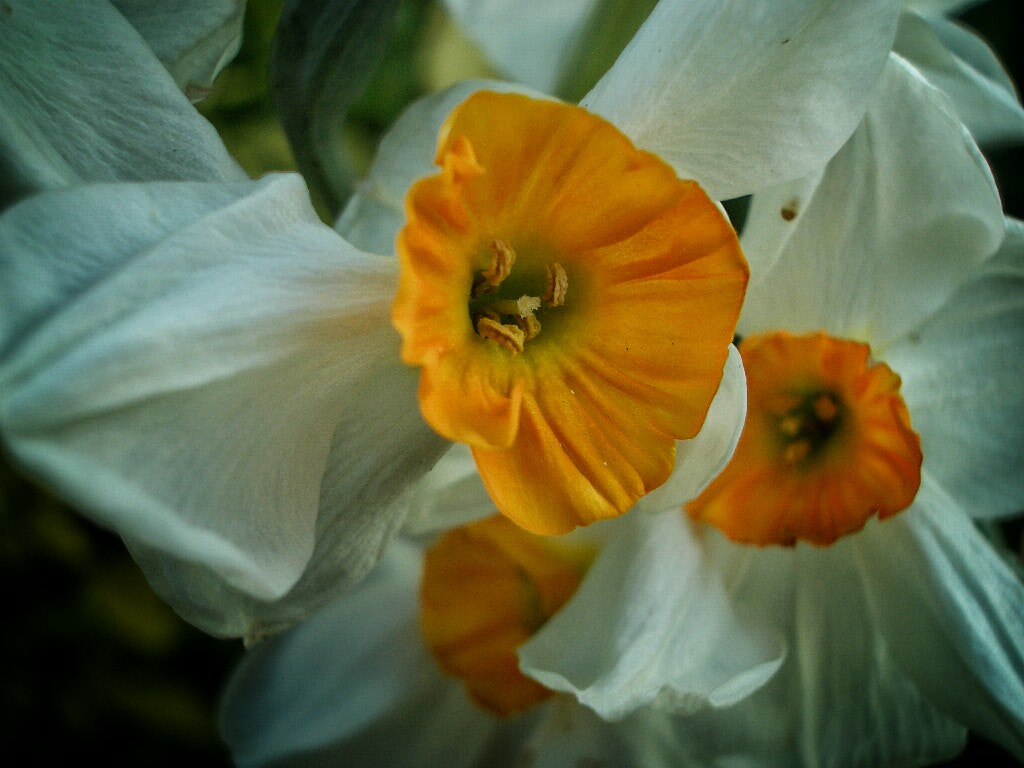 Pentax OPTIO S4I sample photo. Natural contrast photography