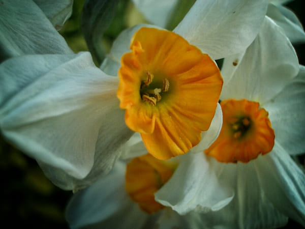 Pentax OPTIO S4I sample photos - ExploreCams Pentax OPTIO S4I sample photos - ExploreCams
