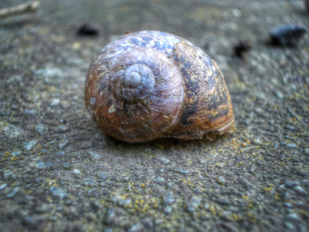 Pentax OPTIO S4I sample photo. Self secure photography