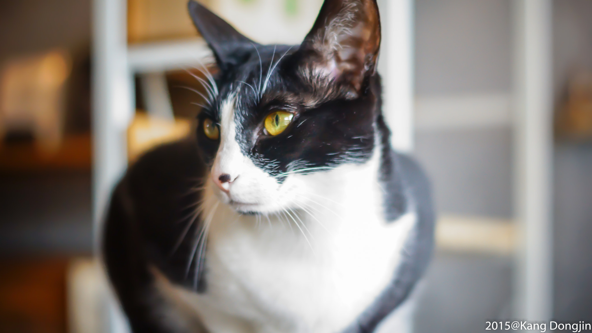 Sony SLT-A77 + Sony DT 50mm F1.8 SAM sample photo
