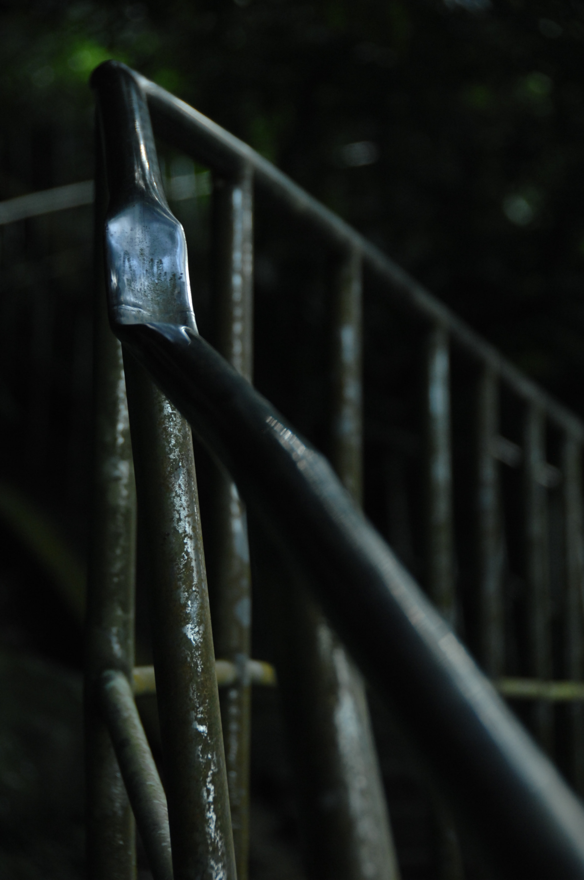 Nikon D2X sample photo. .. photography