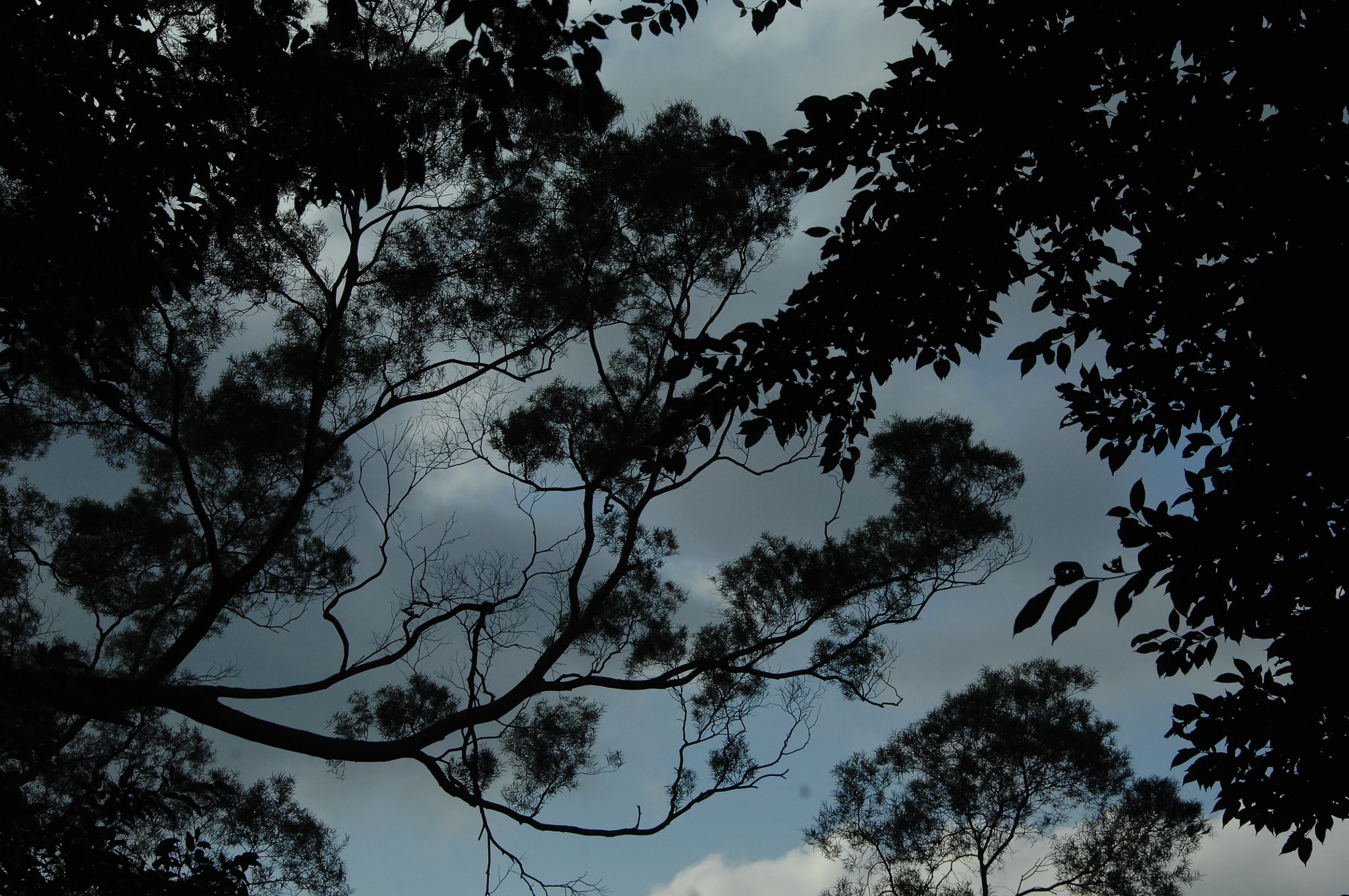 Nikon D2X sample photo. .. photography