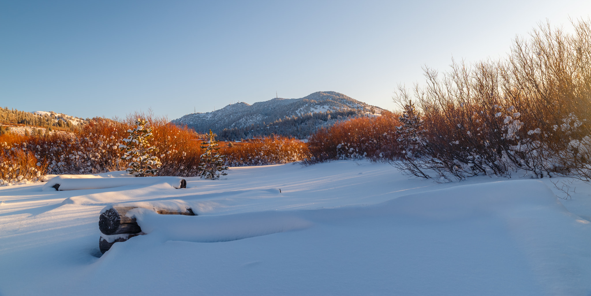 Exploring North #LakeTahoe fresh snow.