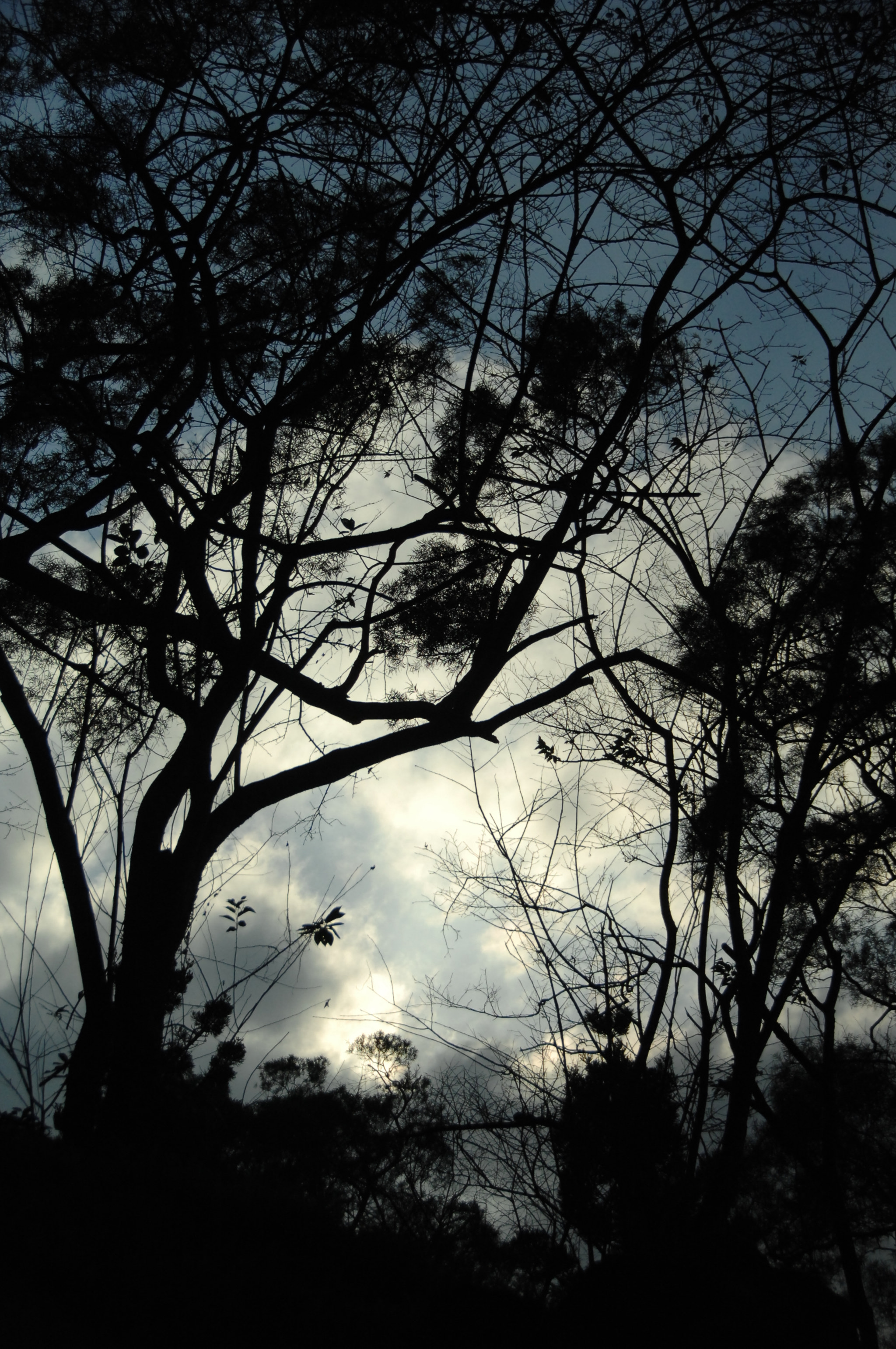 Nikon D2X sample photo. .. photography