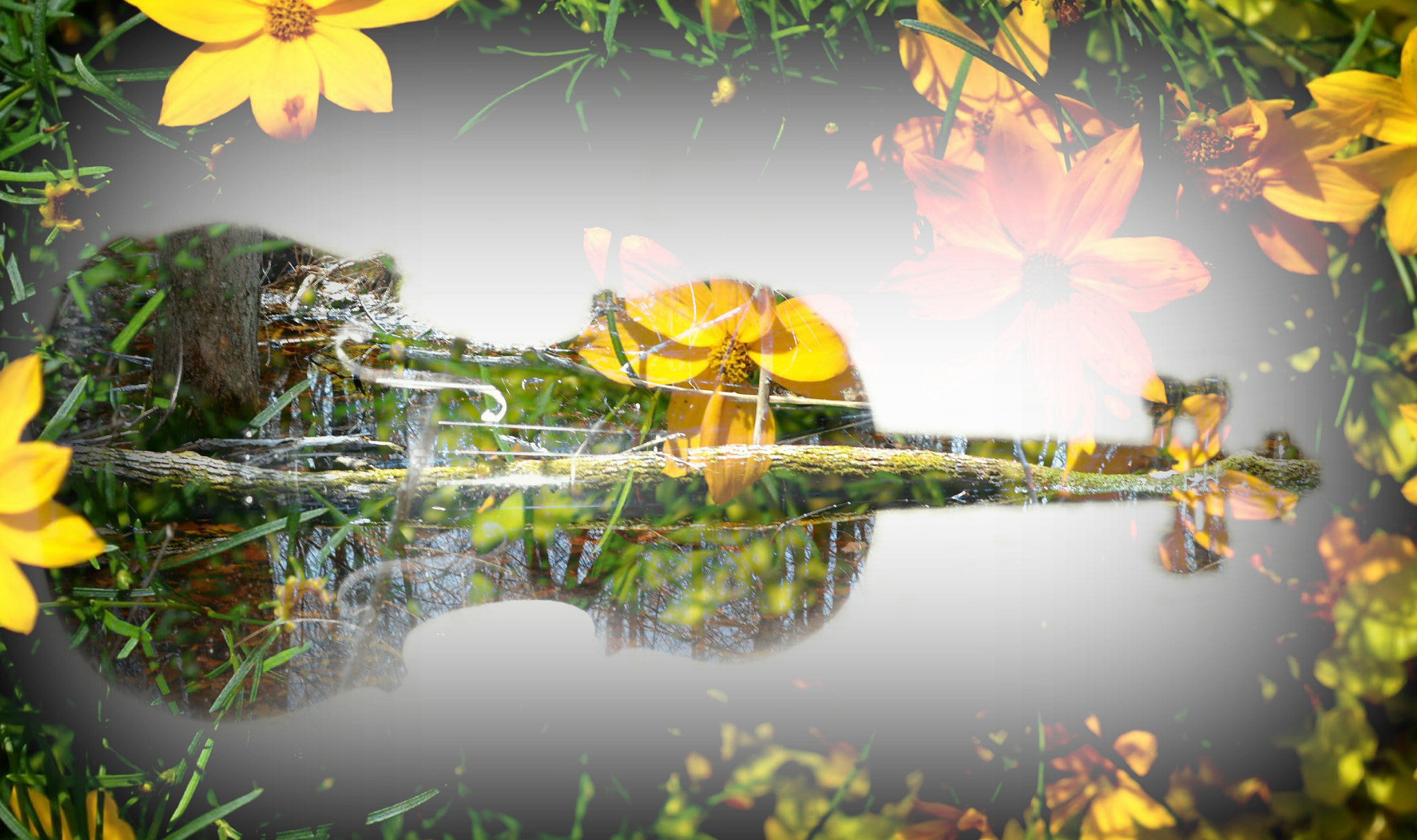 LG F60 sample photo. Black violin, yellow flowers and a nature park photography