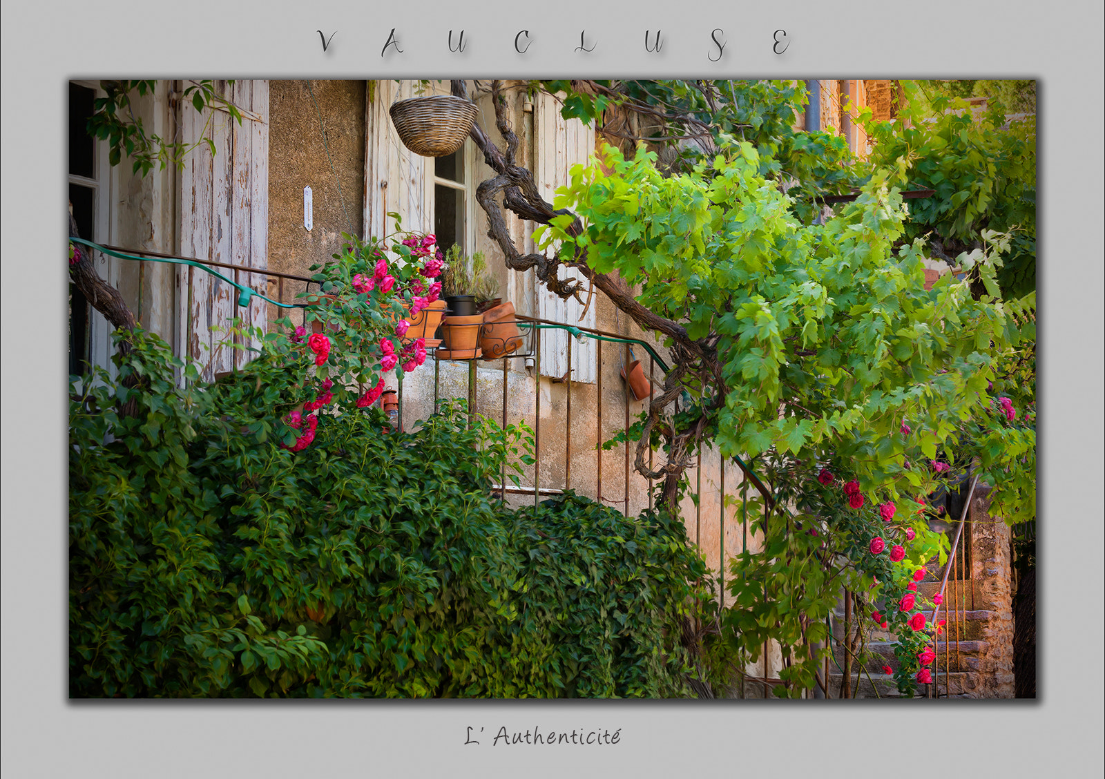 Canon EOS-1Ds Mark III sample photo. Terrasse à goult dans le vaucluse photography