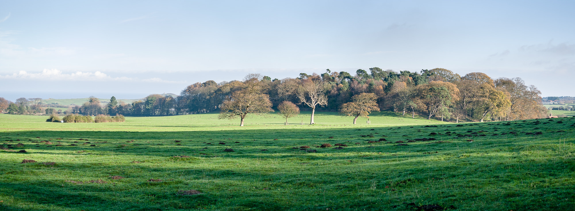 LUMIX G VARIO 35-100/F4.0-5.6 sample photo. Sheringham park photography