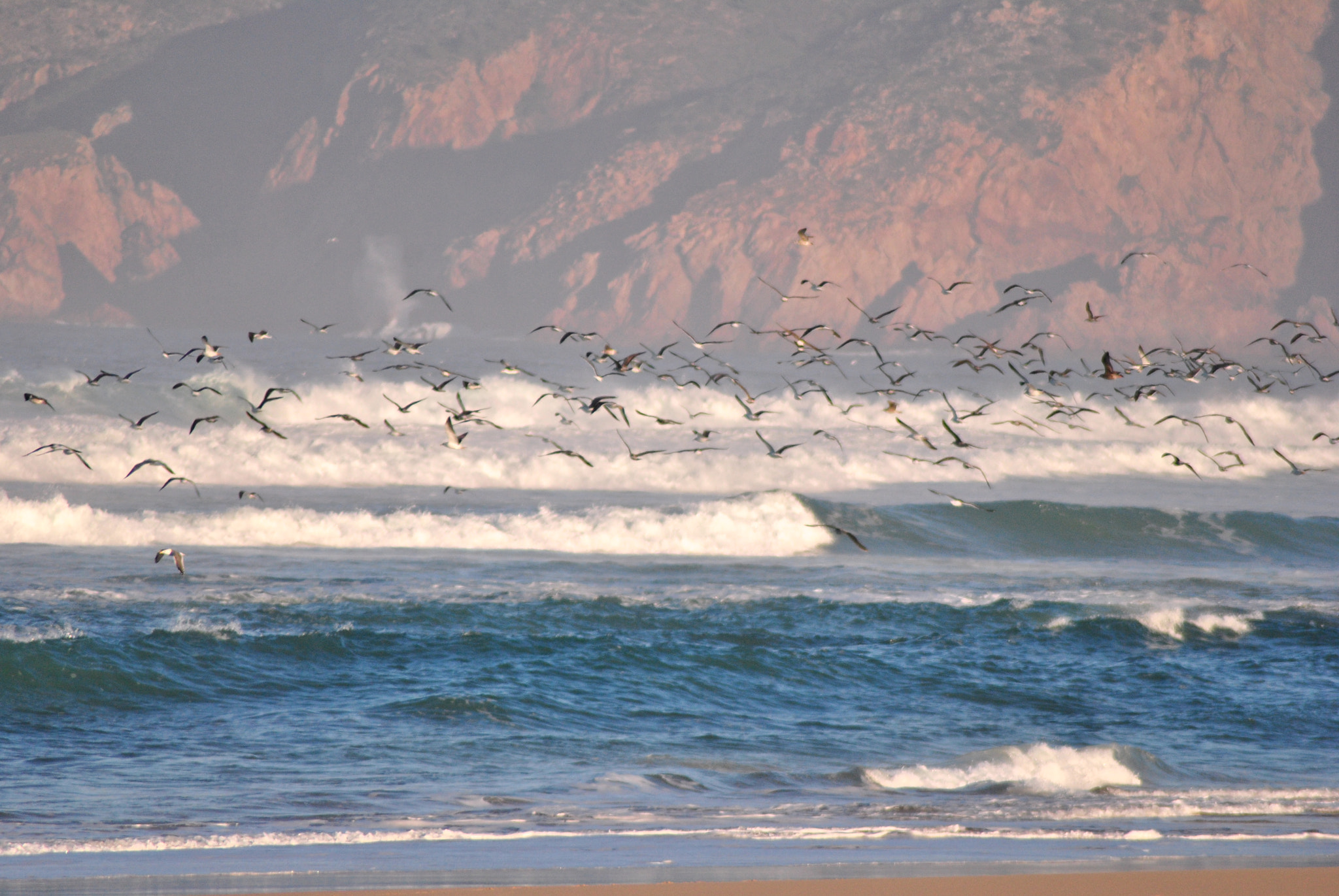 Nikon AF Nikkor 70-300mm F4-5.6G sample photo. Lift off photography