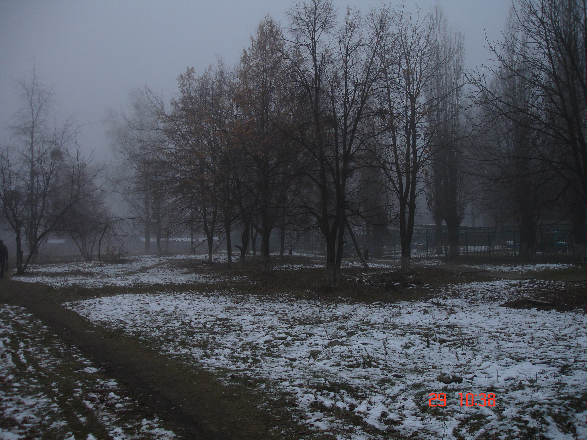 Sony DSC-P150 sample photo. Dsc01063.jpg photography