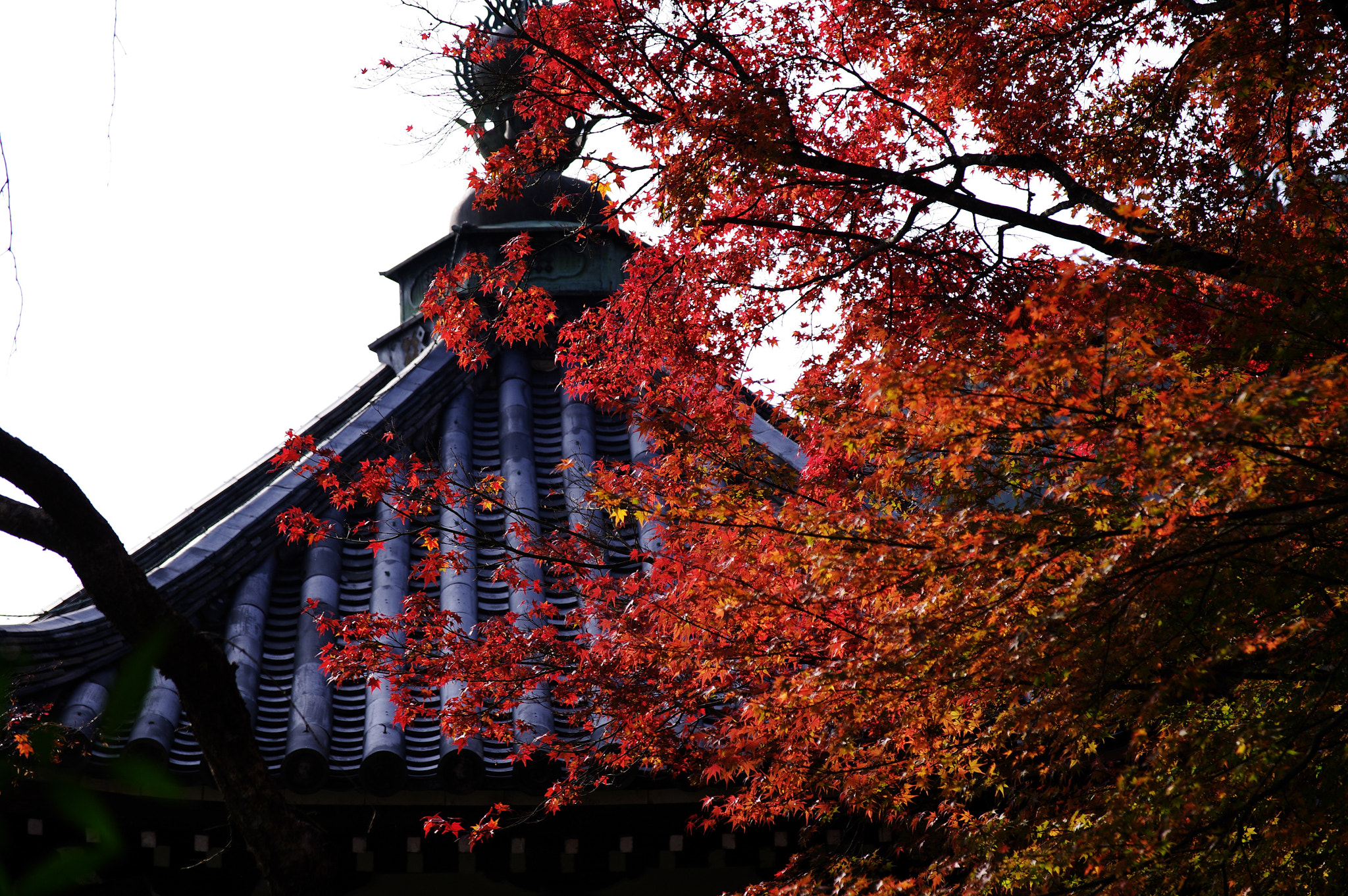 Sigma 17-70mm F2.8-4 DC Macro HSM Contemporary sample photo. Snap on kyoto 6060 photography