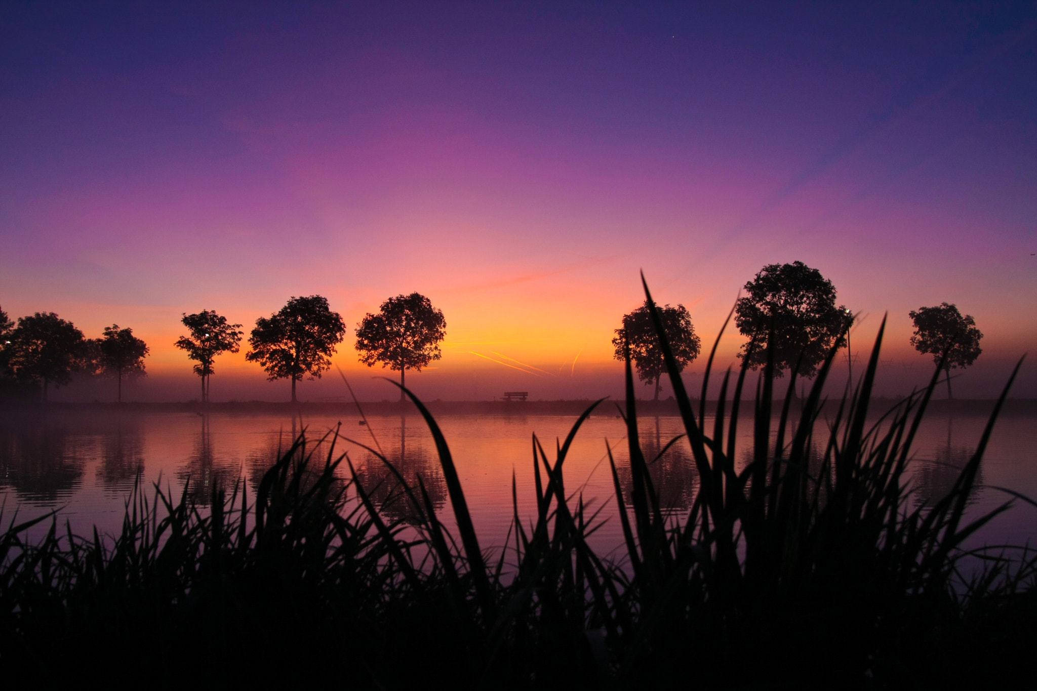 Canon EOS 40D + Sigma 18-50mm f/2.8 Macro sample photo. Purple morning photography