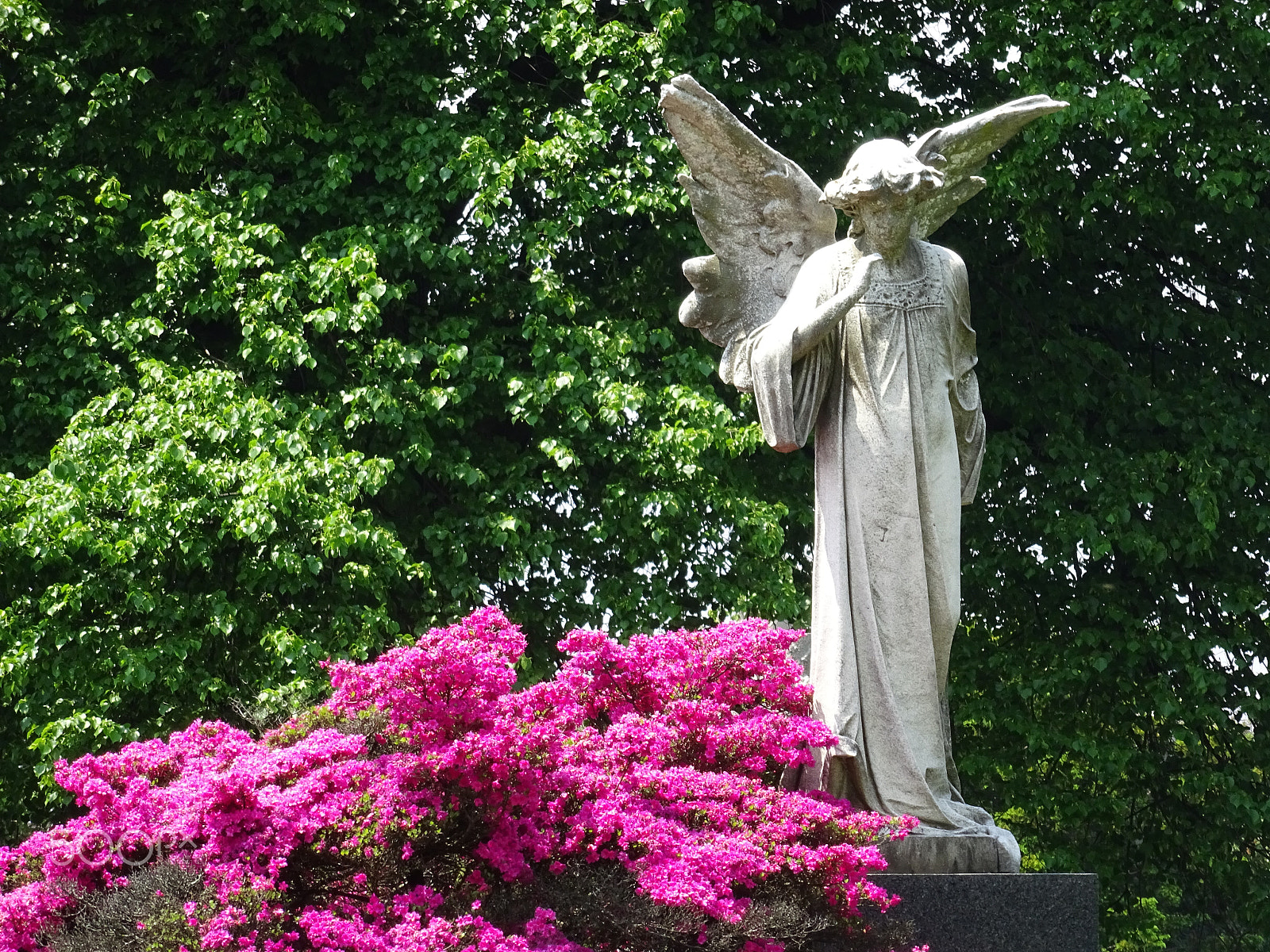 Sony Cyber-shot DSC-WX350 + Sony 25-500mm F3.5-6.5 sample photo. Cemetery statue photography