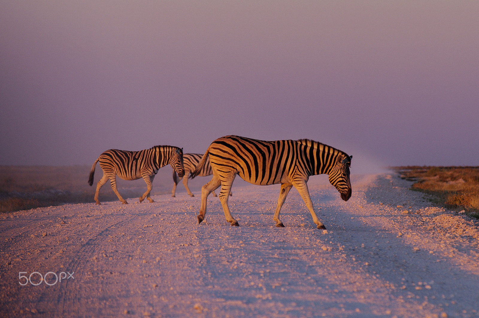 Pentax K-7 sample photo. Zebra crossing photography