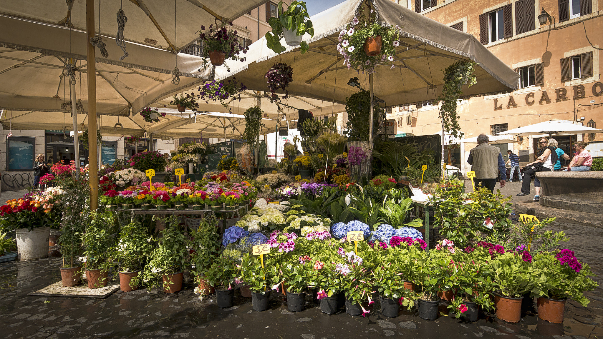 Panasonic Lumix DMC-GX7 + OLYMPUS M.9-18mm F4.0-5.6 sample photo. Roma campo dei fiori photography