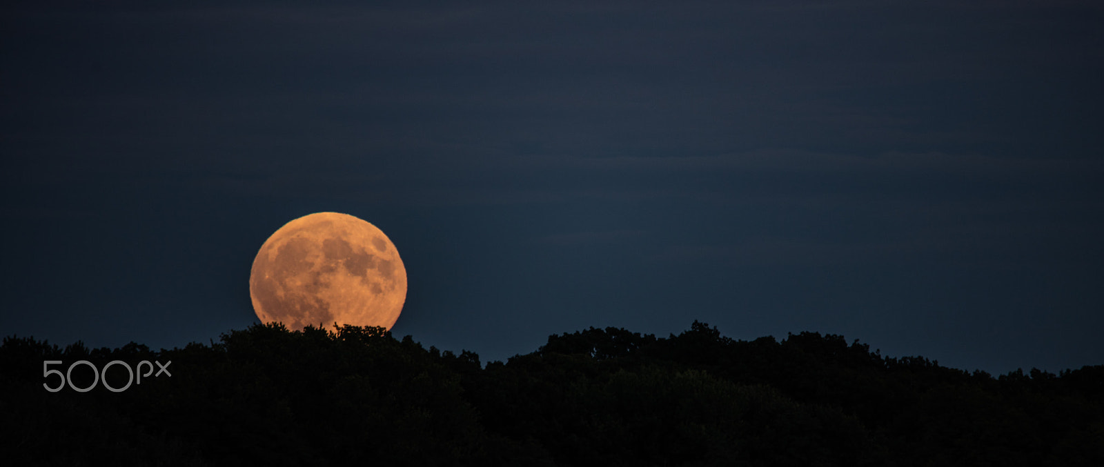Sigma 150-500mm F5-6.3 DG OS HSM sample photo. Super moon rising photography