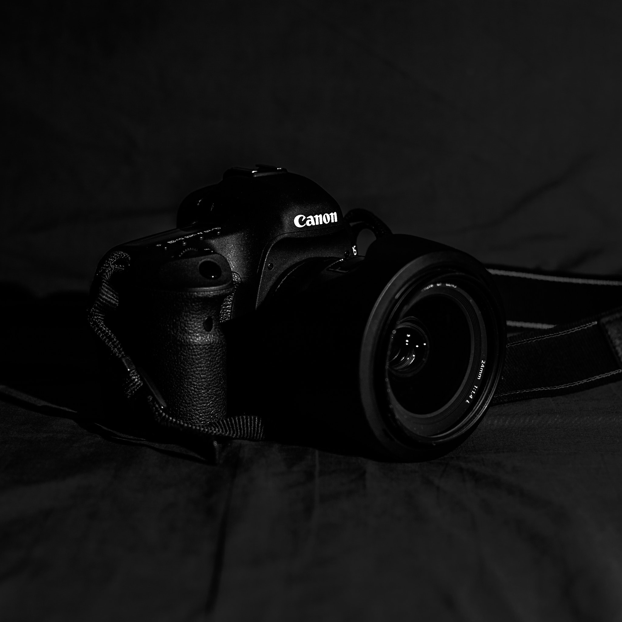 Canon EOS-1D Mark II N + Canon EF 50mm F1.8 II sample photo. B+w photography