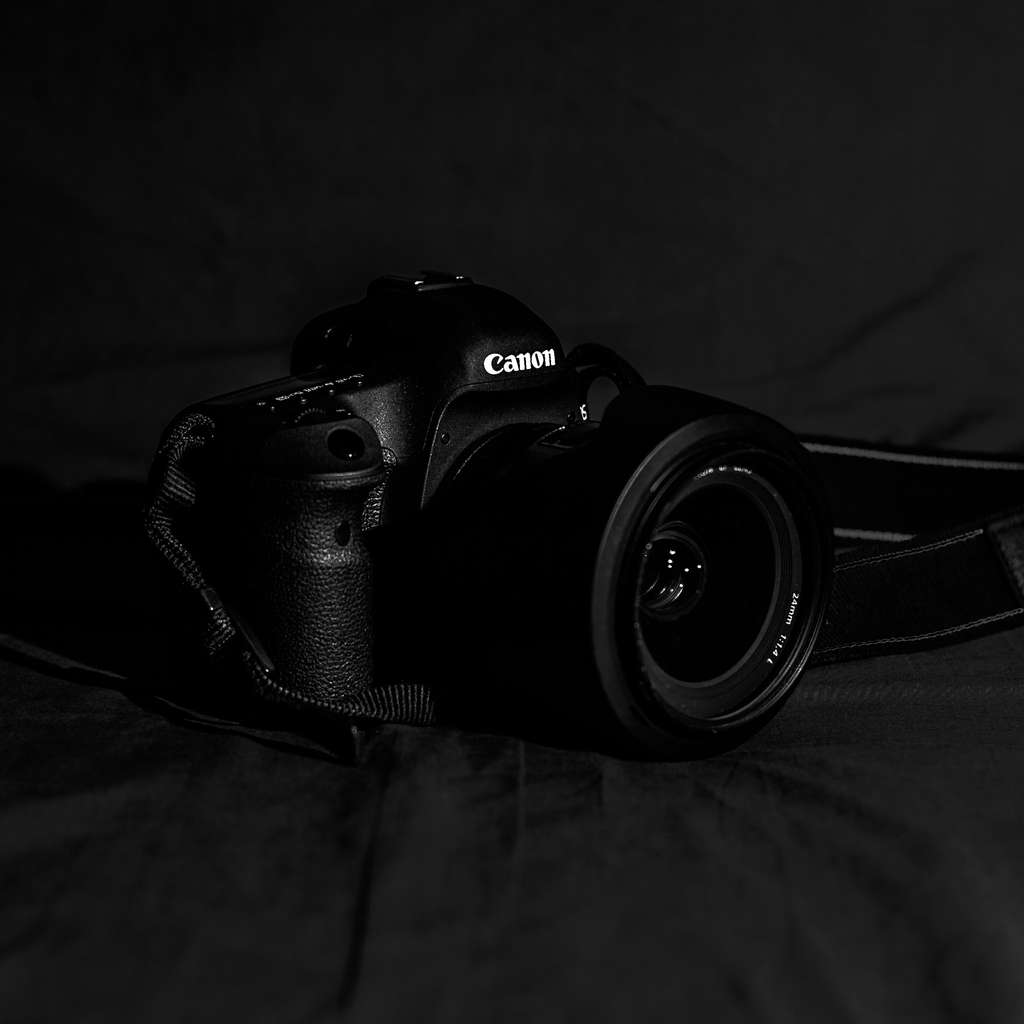 Canon EOS-1D Mark II N sample photo. B+w photography