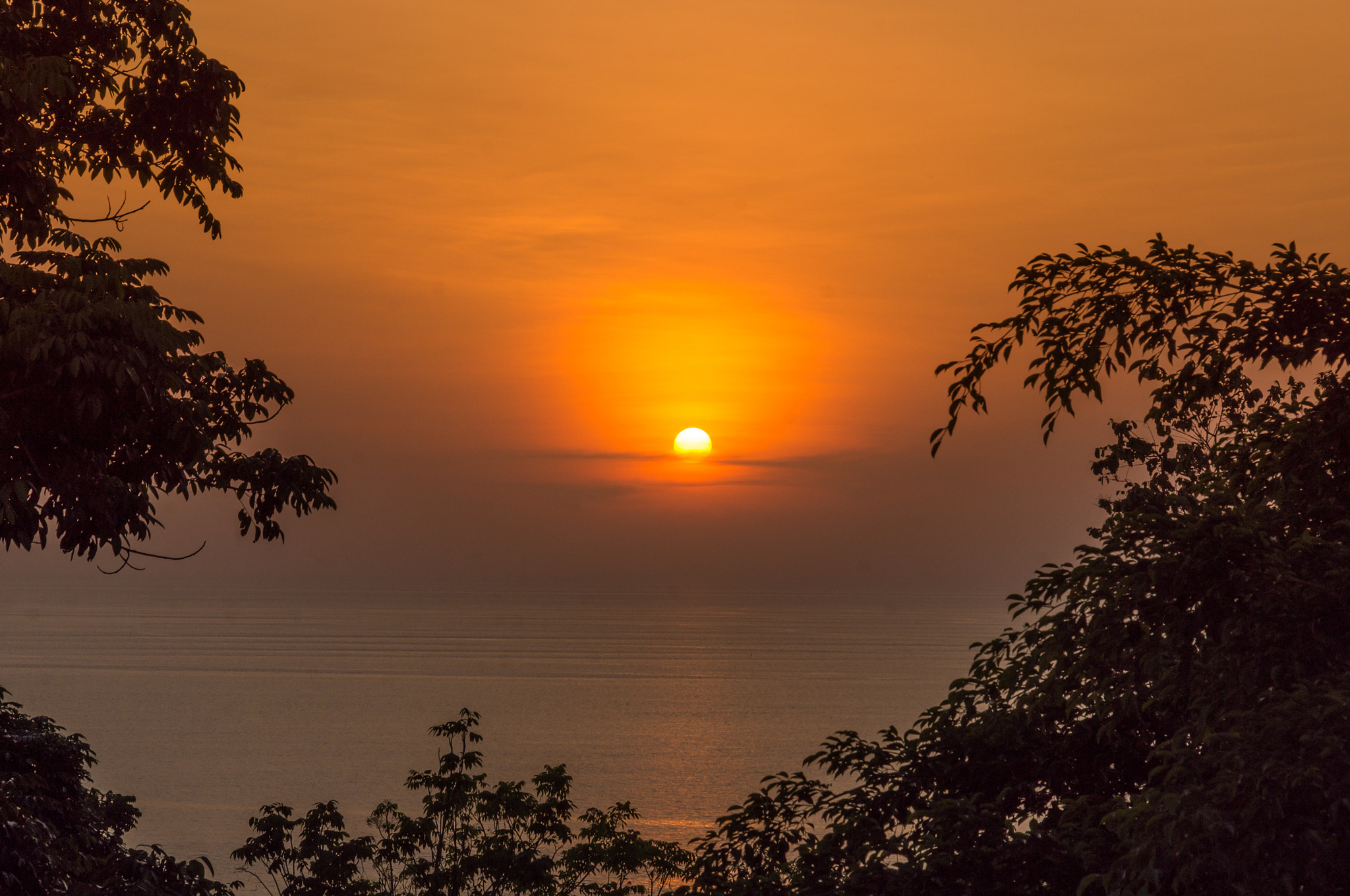 Sony SLT-A55 (SLT-A55V) sample photo. День, ночь.. photography