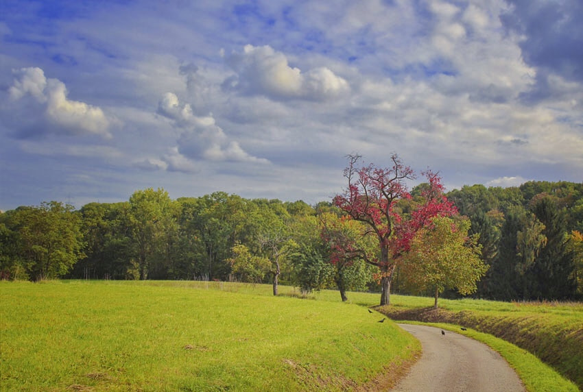 Canon EF 24-70mm F4L IS USM sample photo. В красном наряде... photography