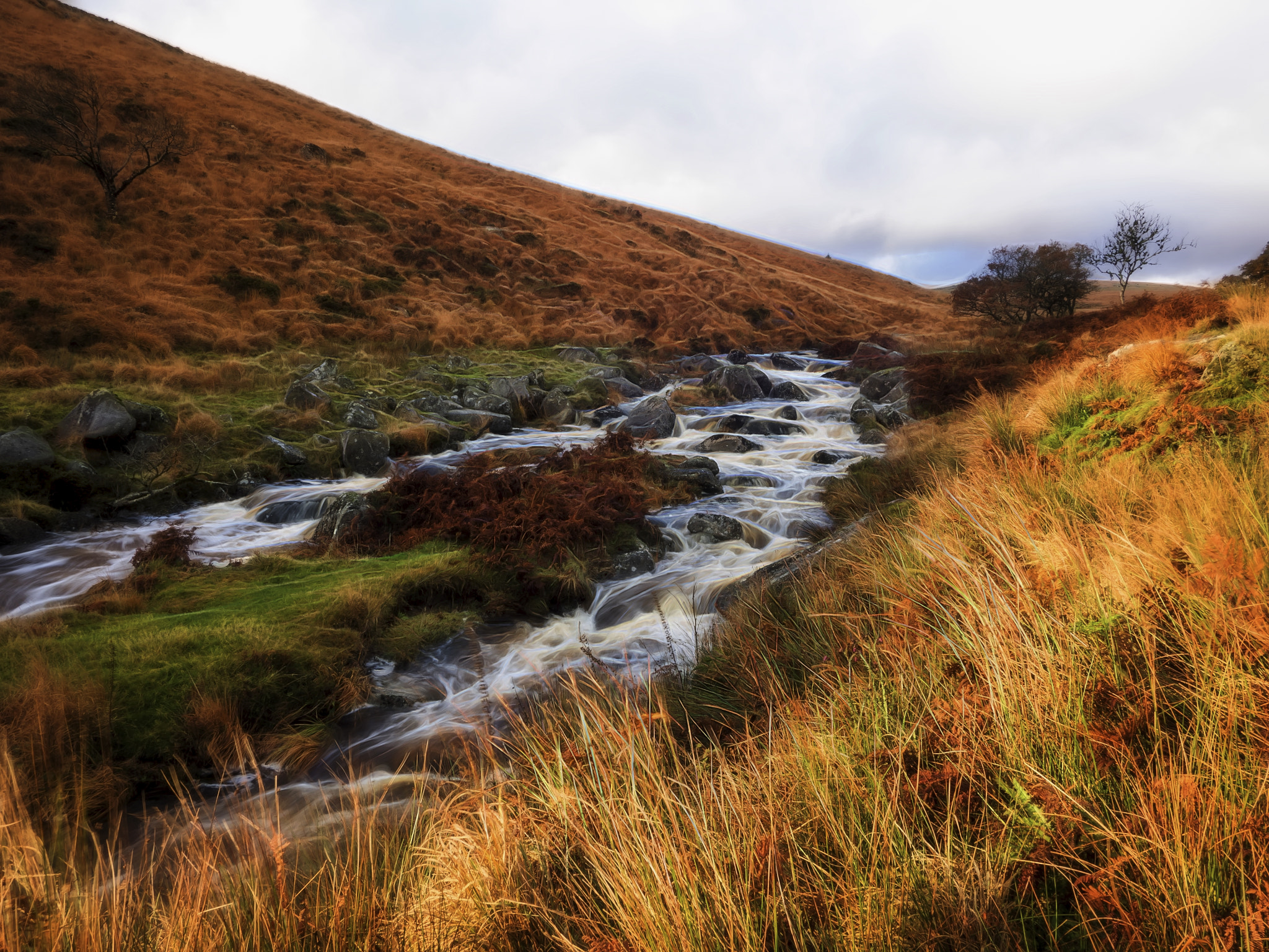 Panasonic Lumix G Vario 7-14mm F4 ASPH sample photo. Flow on dartmoor photography