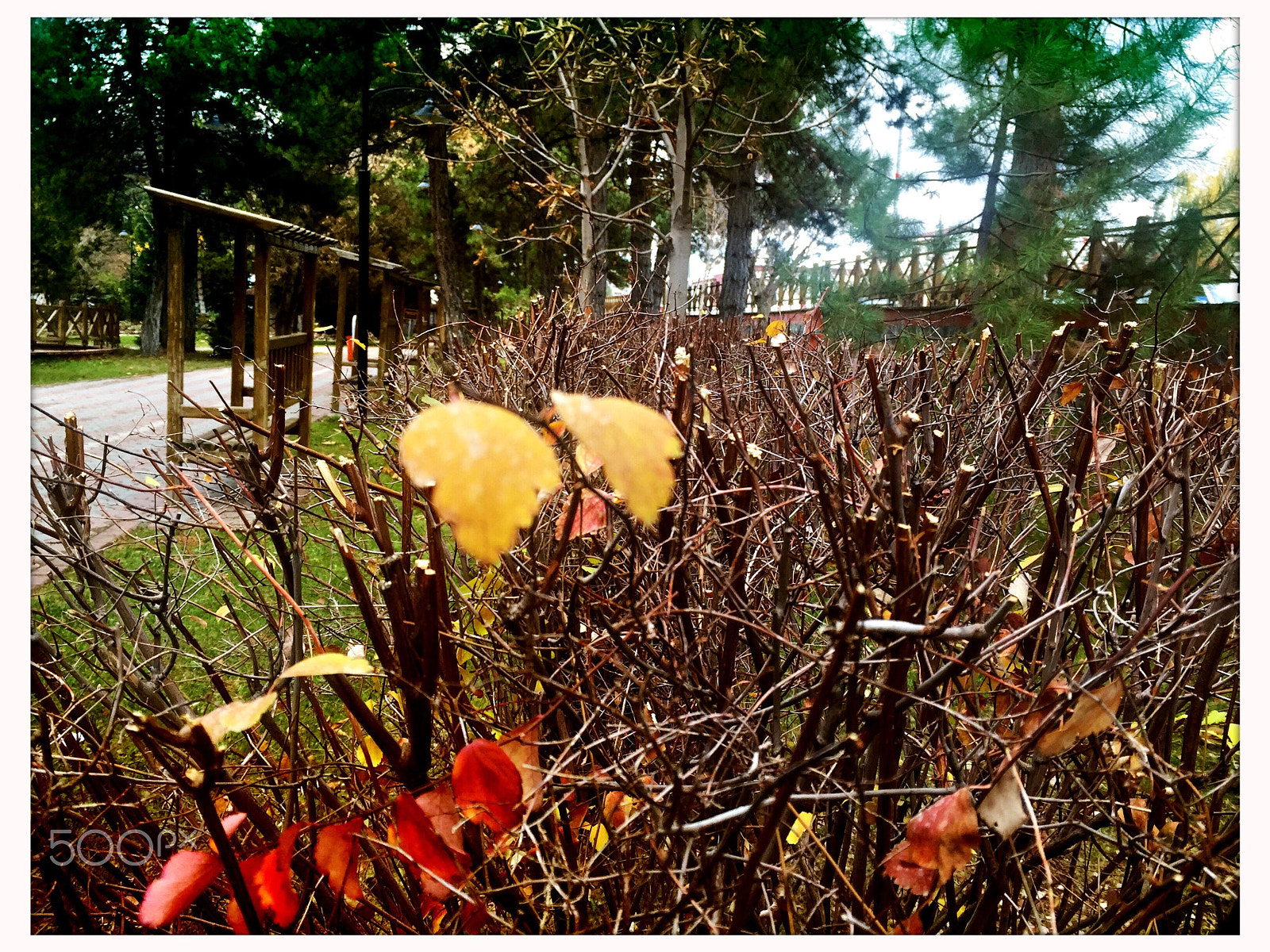 Hipstamatic 303 sample photo. Sivas'ta sonbahar photography