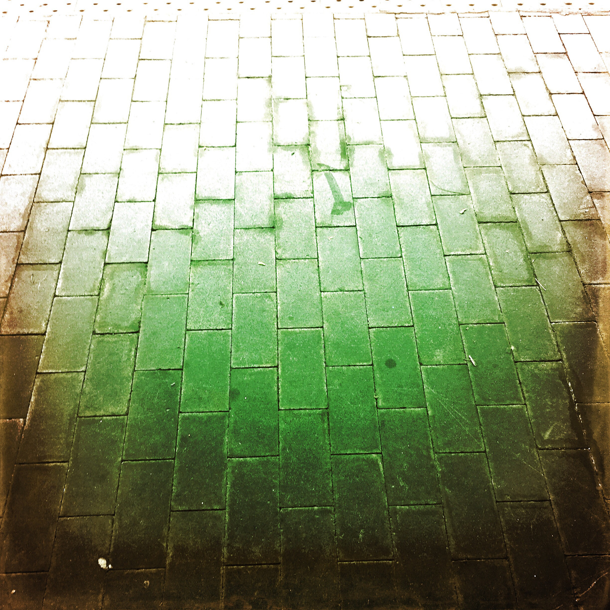 Hipstamatic 303 sample photo