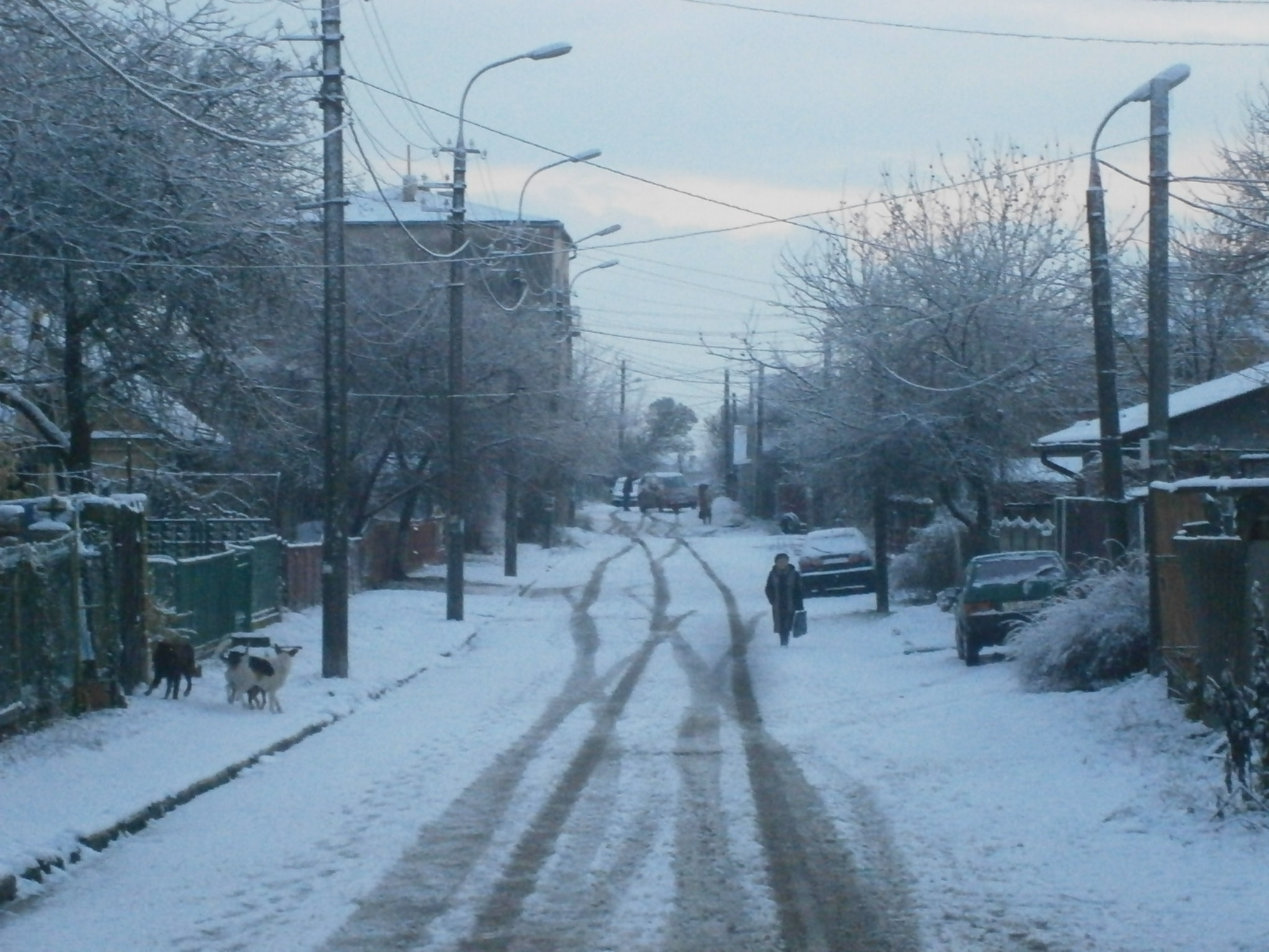 Olympus VG130,D710 sample photo. Silence photography