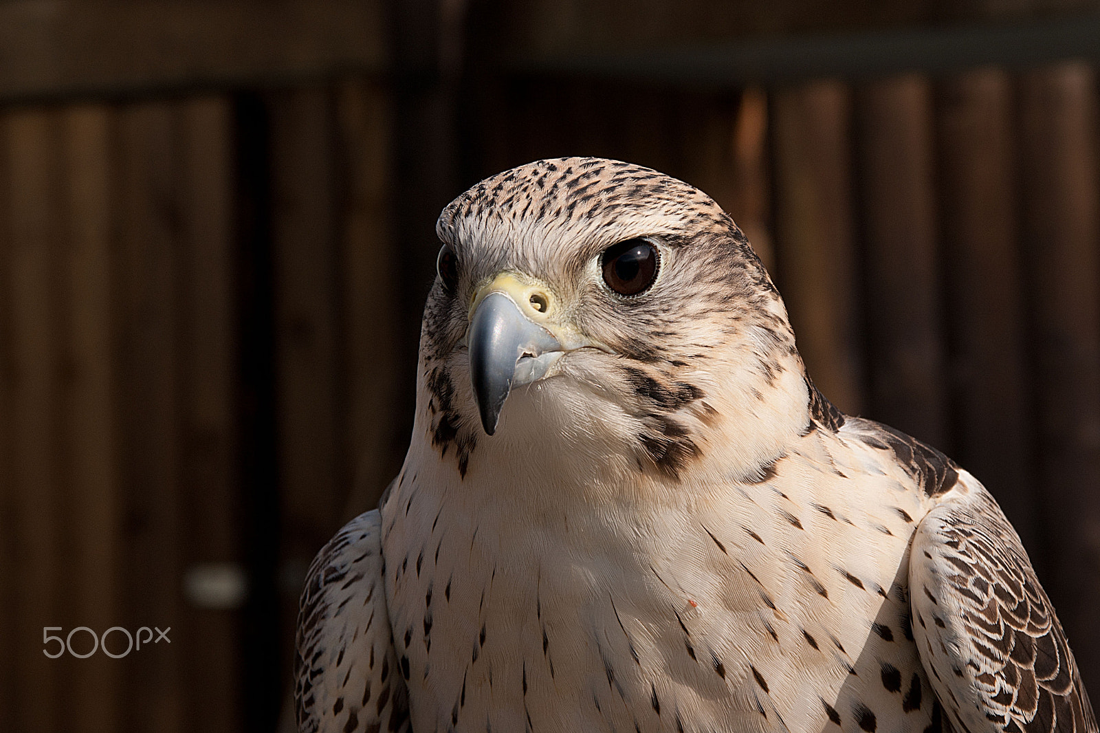 Sony Alpha DSLR-A350 + Sigma 17-70mm F2.8-4 DC Macro HSM sample photo. Change of angle photography