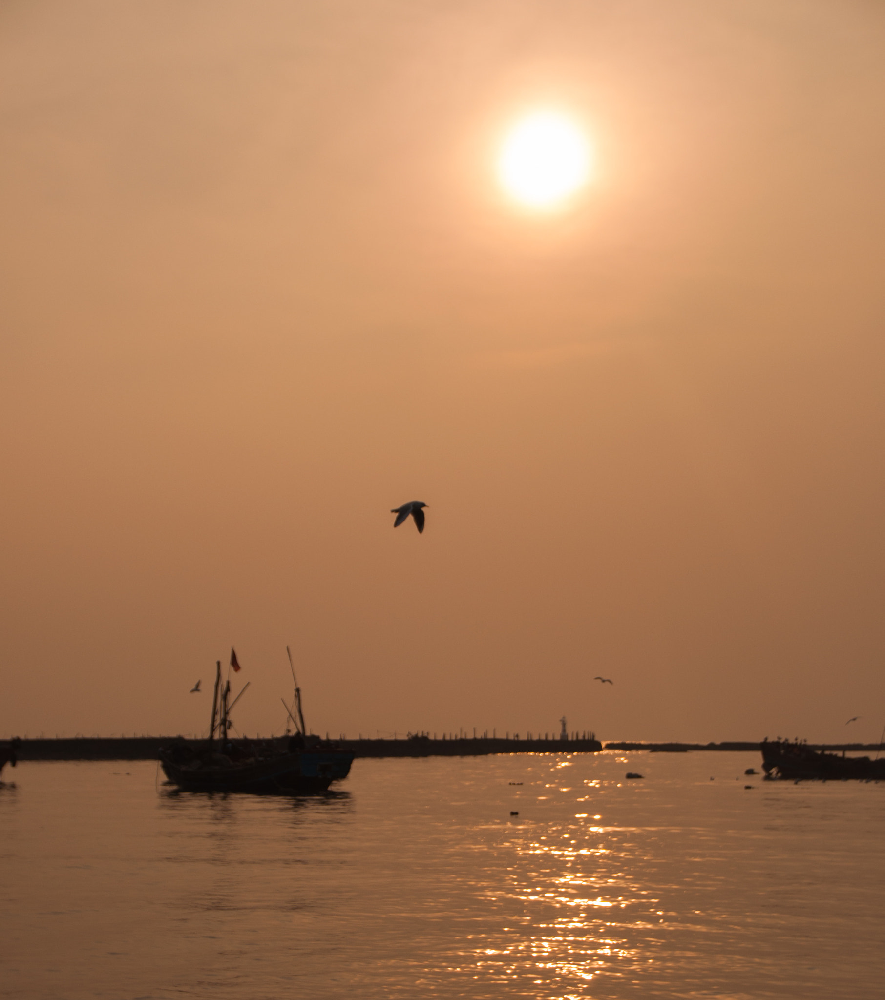 Sigma 18-200mm F3.5-6.3 II DC OS HSM sample photo