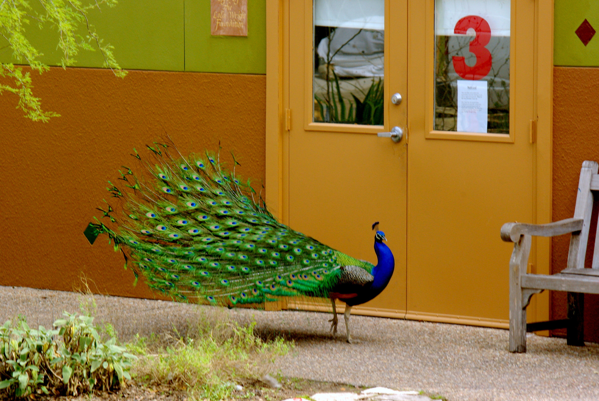 smc PENTAX-FA 80-320mm F4.5-5.6 sample photo. Late for class photography