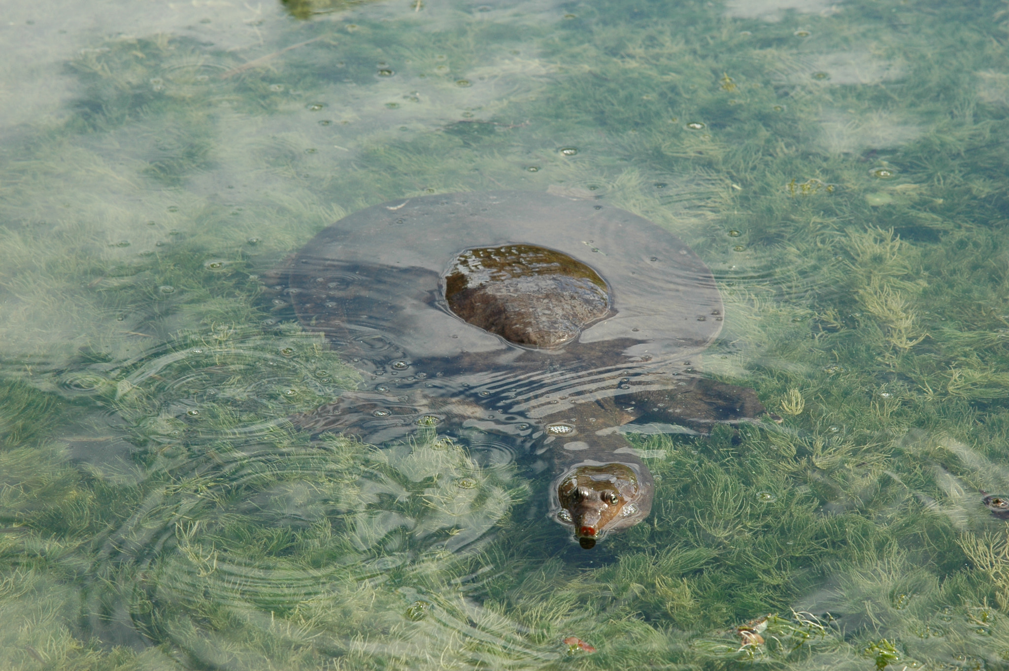 Nikon AF Nikkor 24-85mm F2.8-4D IF sample photo