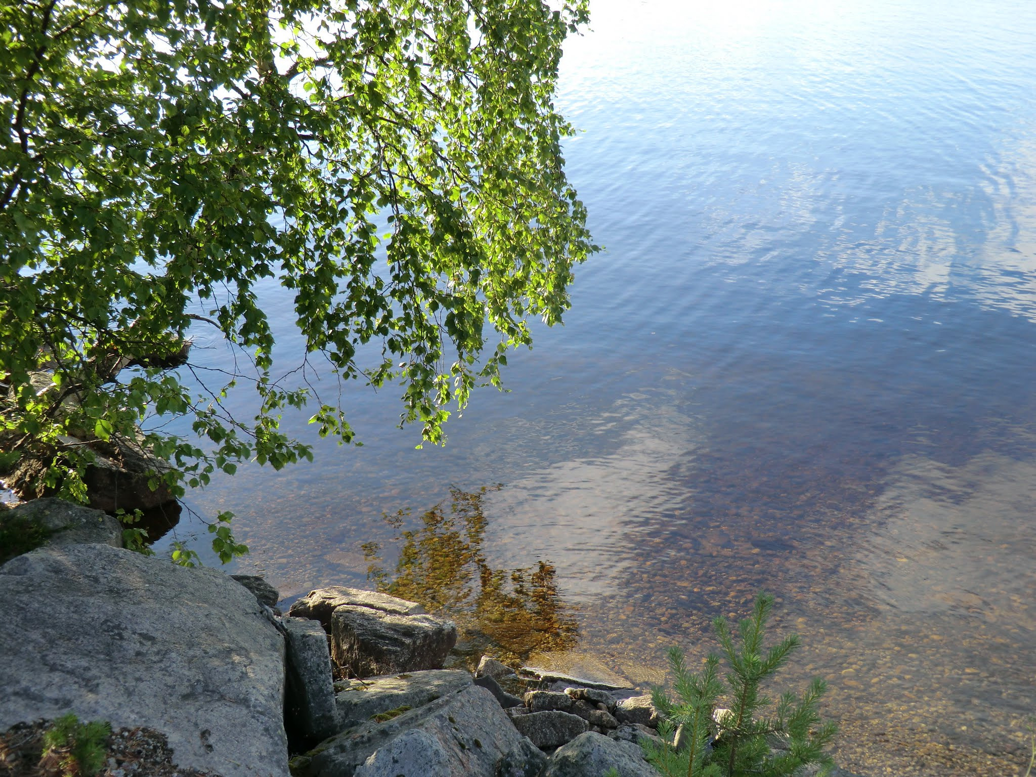 CASIO EX-H5 sample photo. Lappland sweden photography