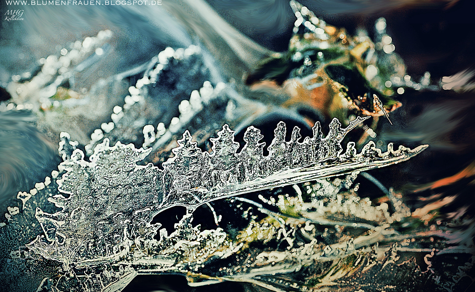 Tamron SP AF 90mm F2.8 Di Macro sample photo. Cold as ice and sharp like a knife photography