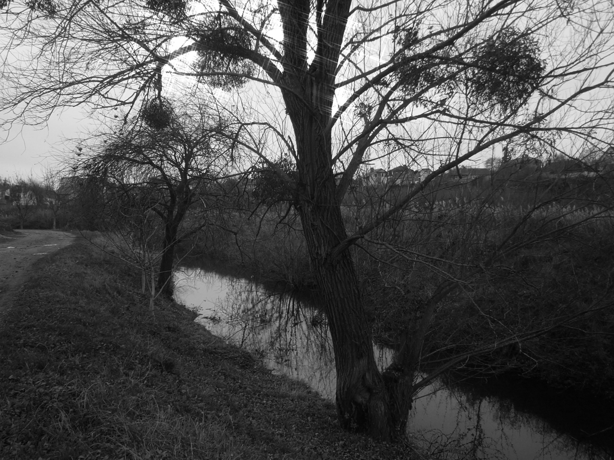 Olympus VG130,D710 sample photo. Little river photography