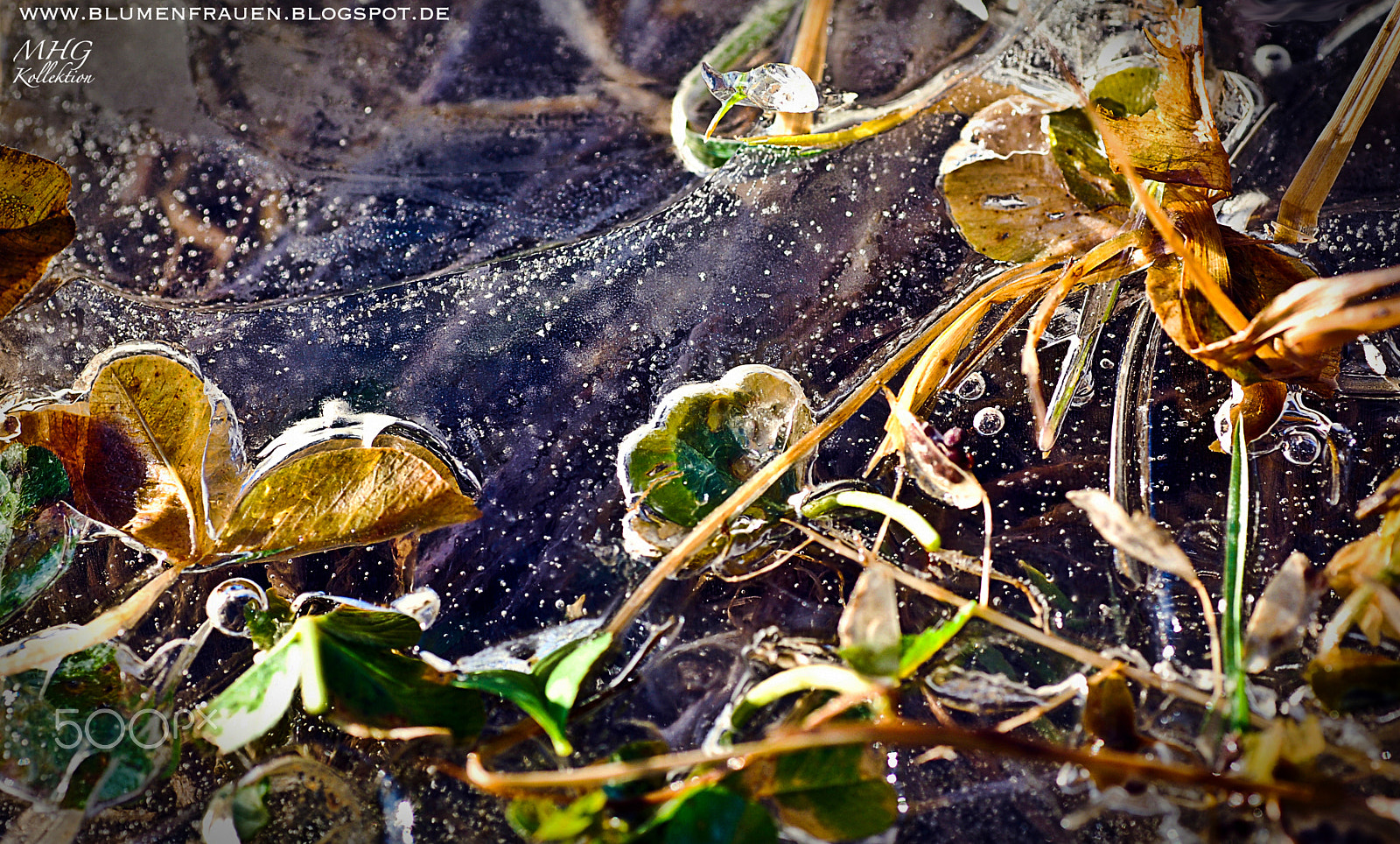 Tamron SP AF 90mm F2.8 Di Macro sample photo. Frozen leaves photography
