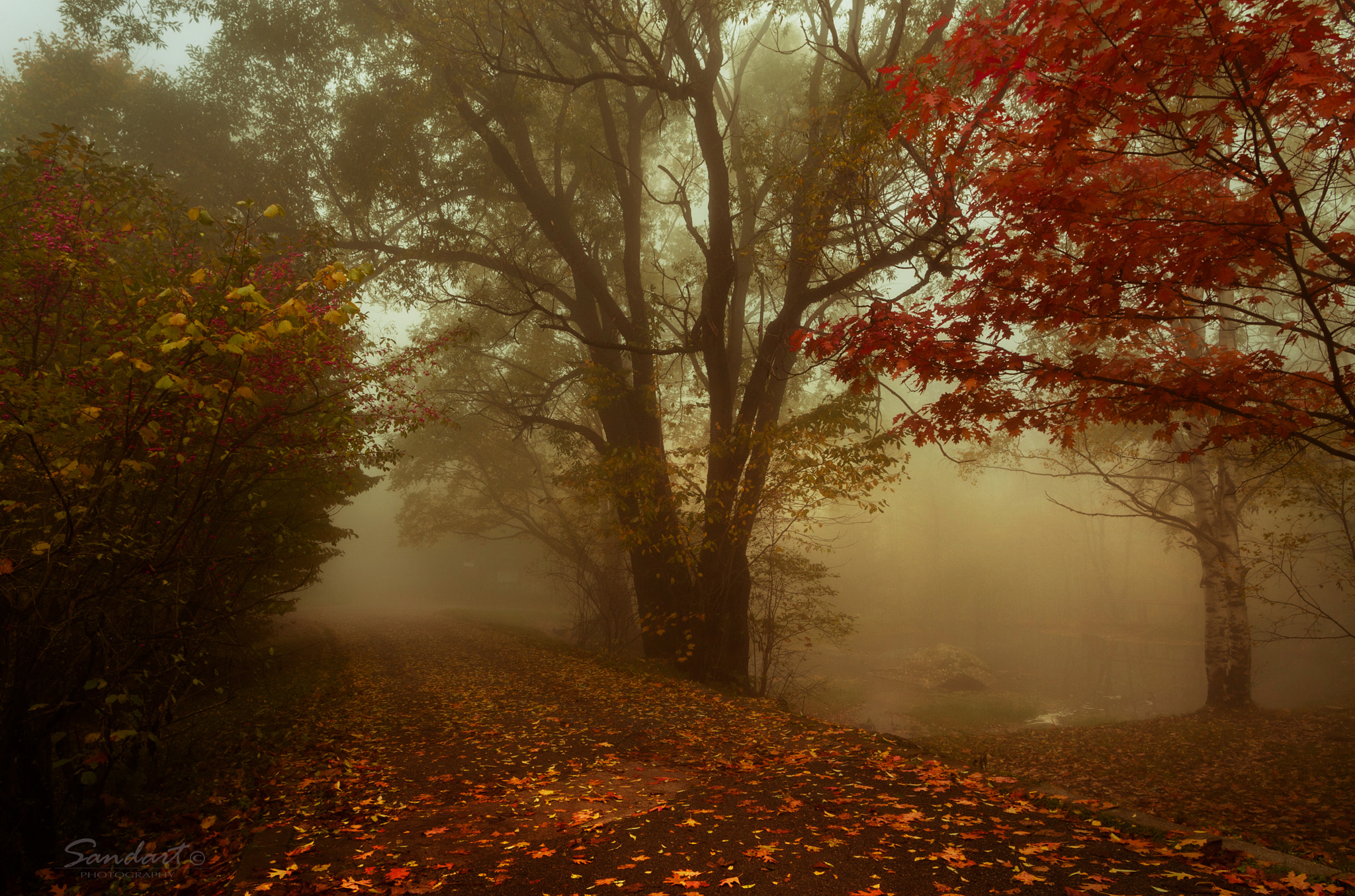 Pentax K-5 + HD Pentax DA 15mm F4 ED AL Limited sample photo. A misty morning photography