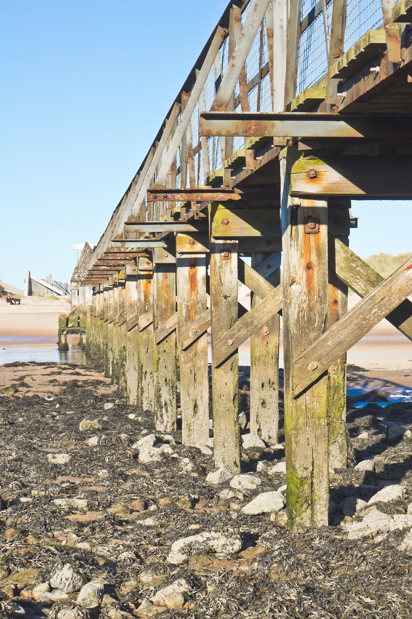 Sony Alpha NEX-5 + E 50mm F1.8 OSS sample photo. Wooden walkway photography