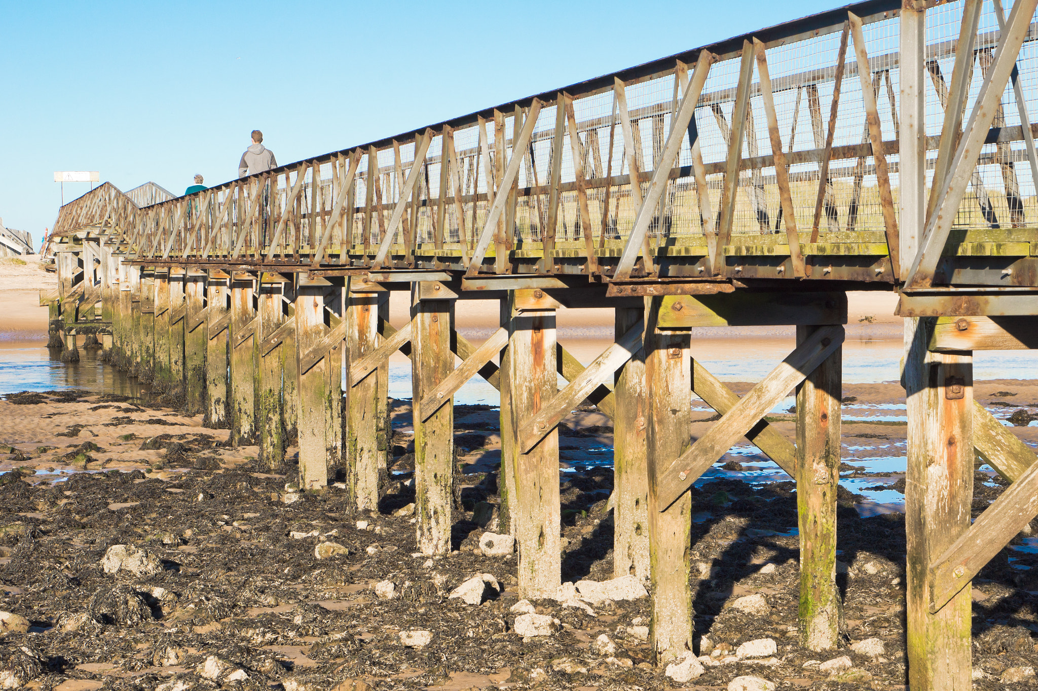 Sony Alpha NEX-5 + E 50mm F1.8 OSS sample photo. Wooden walkway photography