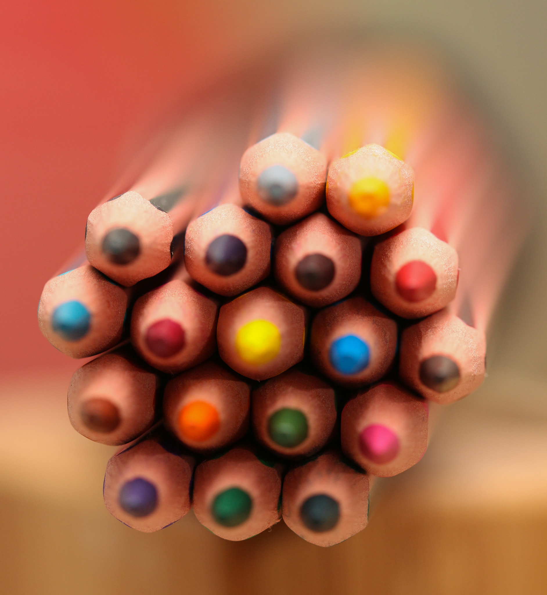 Sigma 105mm F2.8 EX DG OS HSM sample photo. Cercle des couleurs photography